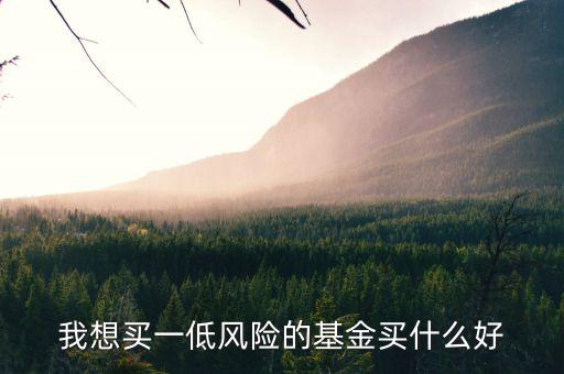 經(jīng)濟低迷投資什么基金，低收入買什么樣的基金好