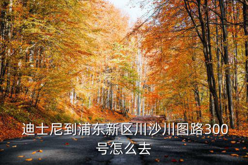  迪士尼到浦東新區(qū)川沙川圖路300號(hào)怎么去