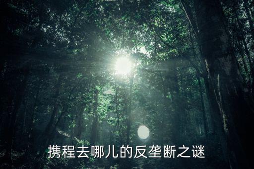 梁建章為什么離開攜程，攜程老板梁建章對(duì)公司的投訴難道只會(huì)說(shuō)抱歉嗎這簡(jiǎn)直有死
