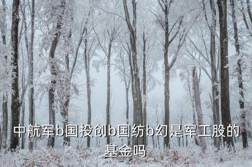 國創(chuàng)投b是什么基金，請教創(chuàng)業(yè)b是私募基金嗎屬于清盤對象嗎