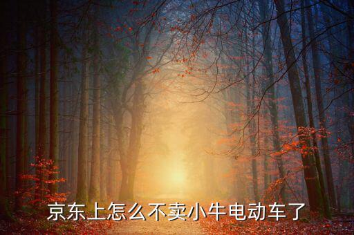 京東什么時候開放小牛，京東上怎么不賣小牛電動車了