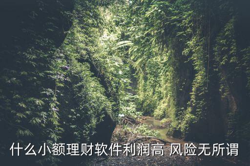 什么小額理財(cái)最安全，什么小額理財(cái)軟件利潤(rùn)高 風(fēng)險(xiǎn)無(wú)所謂