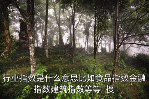 申萬行業(yè)指數(shù)是什么，申萬證券行業(yè)指數(shù)分級是什么指數(shù)基金嗎
