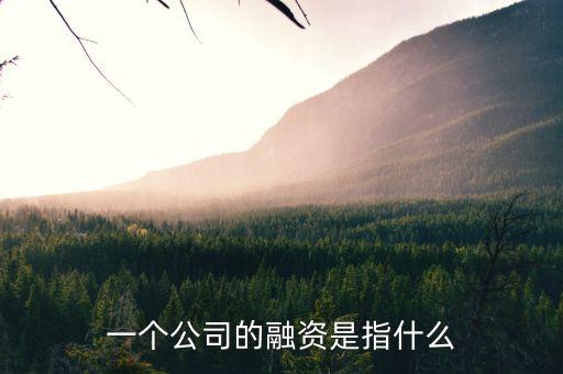 什么叫融資，一個公司的融資是指什么