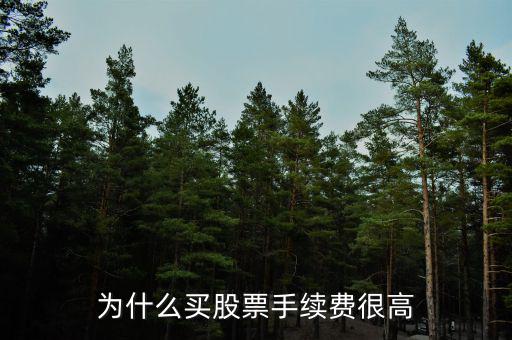 為什么股票有手續(xù)費(fèi)，原始股為什么老收取手續(xù)費(fèi)