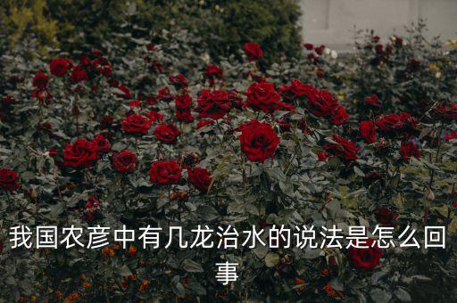 三龍治水是什么意思，幾屠共豬 幾龍治水做何解