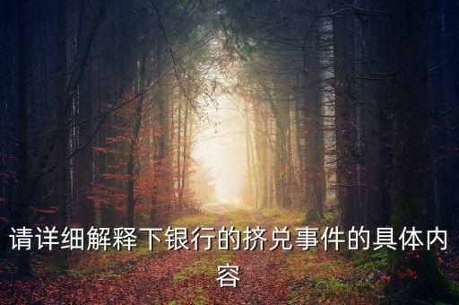 請詳細解釋下銀行的擠兌事件的具體內容