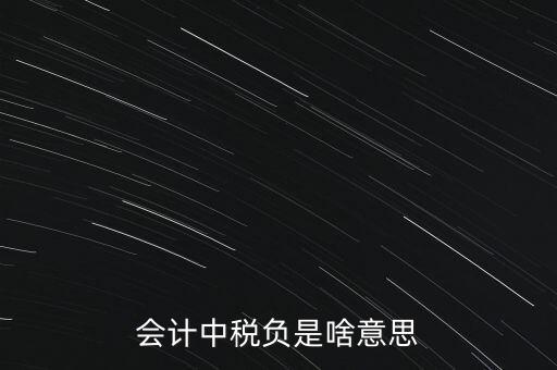 稅負是什么意思，會計中稅負是啥意思