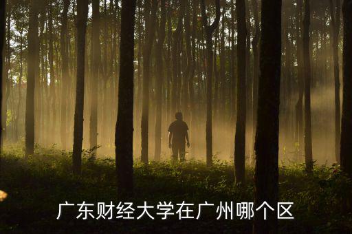 廣東財經大學在廣州哪個區(qū)