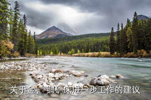關(guān)于金、 銅礦床進(jìn)一步工作的建議