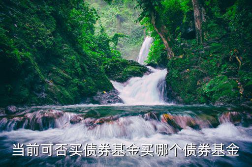 熊市買(mǎi)什么純債基金，當(dāng)前可否買(mǎi)債券基金買(mǎi)哪個(gè)債券基金