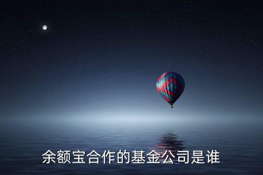 余額寶投資過什么公司，余額寶合作的基金公司是誰