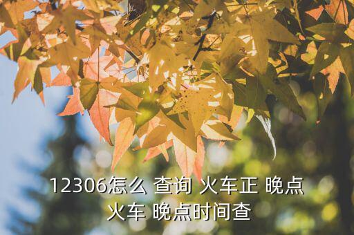 怎么查詢火車(chē)晚點(diǎn),火車(chē)晚點(diǎn)有兩種情況需要提前查詢