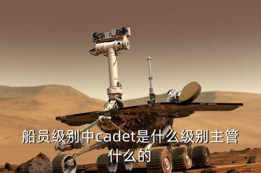 中船總經(jīng)理什么級別，中國船舶總公司總經(jīng)理啥級別
