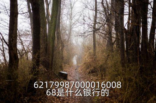 中債資信屬于什么銀行，6217998700001600868是什么銀行的
