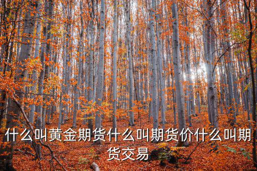 什么是期貨價(jià)，什么叫黃金期貨什么叫期貨價(jià)什么叫期貨交易