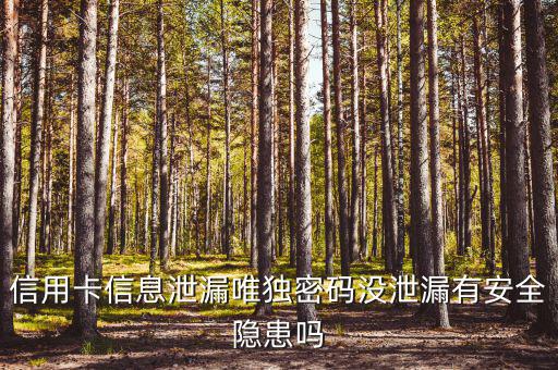 信用卡信息泄露有什么風險，信用卡信息泄漏唯獨密碼沒泄漏有安全隱患嗎