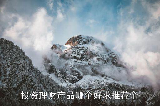 投資理財(cái)產(chǎn)品哪個好求推薦個