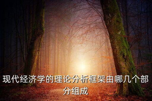 現代經濟學的理論分析框架由哪幾個部分組成