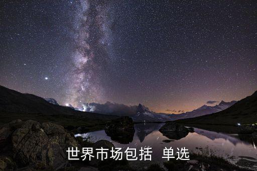 世界市場包括什么，世界上分哪些市場