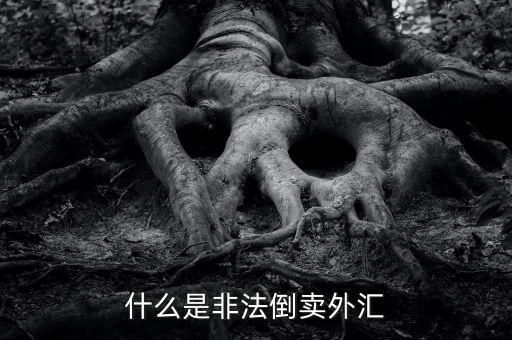 為什么會非法買賣外匯，私下交易外幣為什么是違法行為