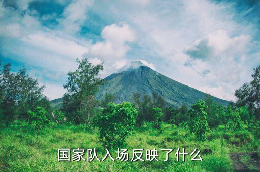 國家隊進場是什么意思，國家隊入場反映了什么