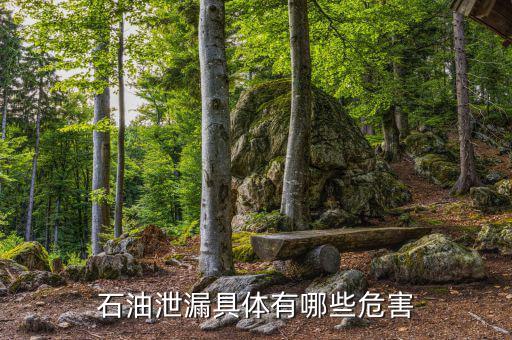 原油泄漏影響什么部門，石油泄漏具體有哪些危害
