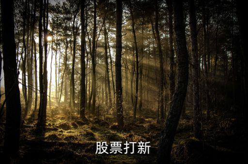 國金手機(jī)怎么查打新,新股網(wǎng)上申購三步驟:點(diǎn)擊交易選項(xiàng)