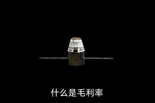 毛利率是什么，毛利率是什么意思
