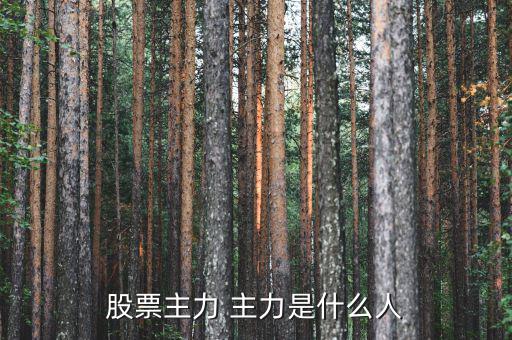 炒股的都是什么人，什么樣的人才是炒股的高手