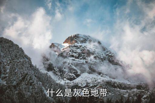 什么是項(xiàng)目的灰色地帶，什么是灰色地帶