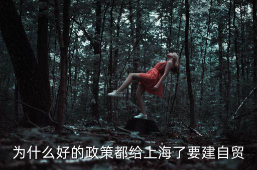 為什么要設(shè)立上海自貿(mào)區(qū)，上海自貿(mào)區(qū)成立的目的