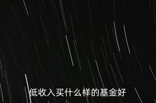 低收入買什么樣的基金好