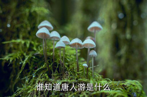 唐人數(shù)碼是干什么的，唐人游是什么