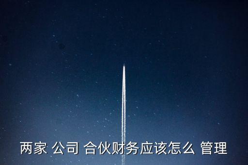 合伙公司怎么管理公司帳戶,合伙on公司財務(wù)怎么管理?
