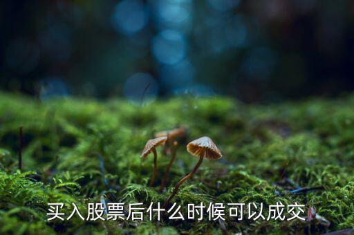 股票什么時候能交易，每天什么時候可以買入股票什么時候可以賣出股票
