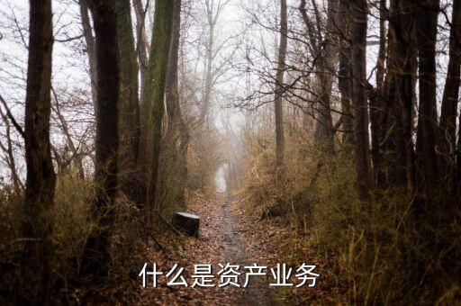 什么是大資產(chǎn)業(yè)務(wù)，商業(yè)銀行三大支柱業(yè)務(wù)是什么