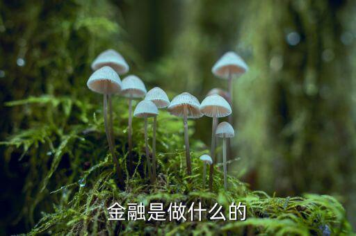 中國29金融是干什么的，金融是干什么的