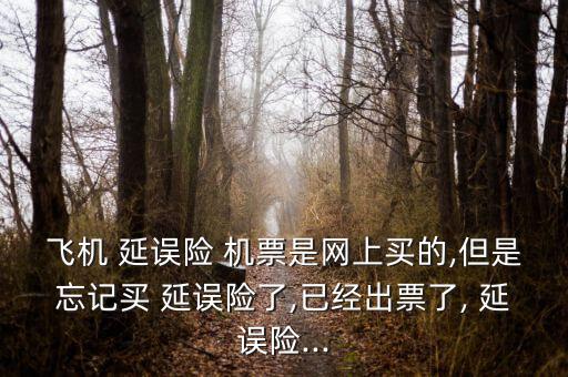 飛機(jī) 延誤險 機(jī)票是網(wǎng)上買的,但是忘記買 延誤險了,已經(jīng)出票了, 延誤險...