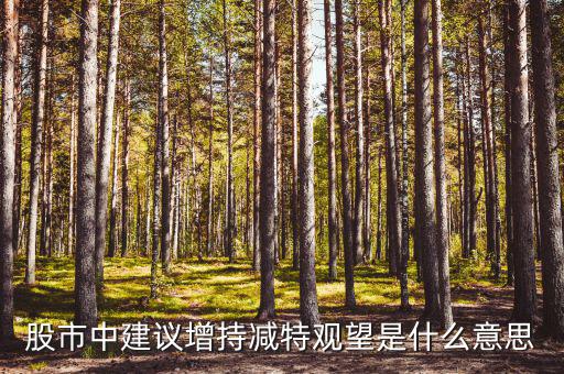股票建議增持什么意思，股市中建議增持減特觀望是什么意思
