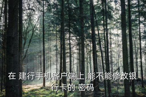 在 建行手機(jī)客戶(hù)端上,能不能修改銀行卡的 密碼