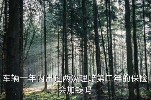 一年中兩次事故理培有什么影響，車輛一年內(nèi)出過兩次理賠第二年的保險(xiǎn)會(huì)加錢嗎