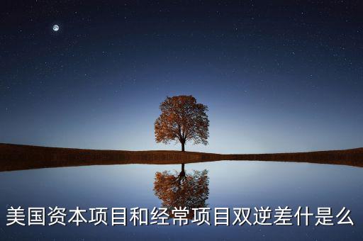 雙逆差是什么意思，逆差是什么意思