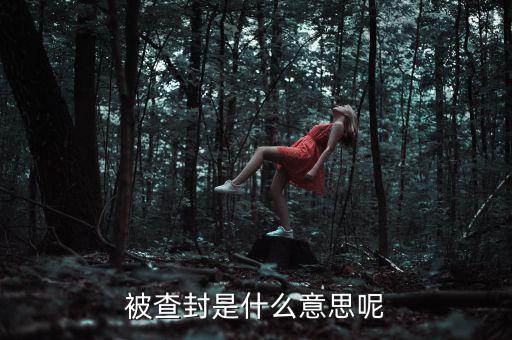 承兌匯票被查封是什么意思，被查封是什么意思呢