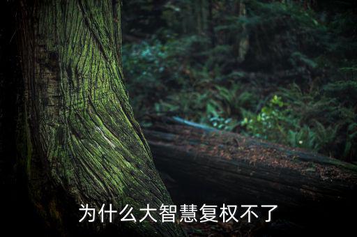 為什么大智慧復(fù)權(quán)不了
