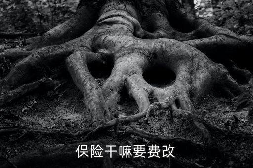 什么是費(fèi)改產(chǎn)品，移動營業(yè)廳不能由用戶老產(chǎn)品轉(zhuǎn)換成當(dāng)前產(chǎn)品什么意思