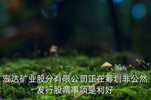 宏達(dá)礦業(yè)什么重大事項，請教600687停盤說是因為核實公司相關(guān)重大事項這個重大事項有知