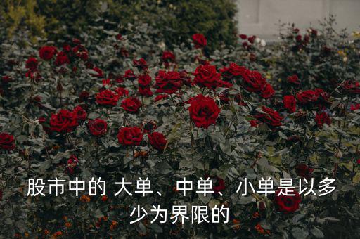  股市中的 大單、中單、小單是以多少為界限的