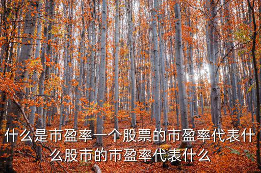 平均市盈率說明什么，什么是市盈率一個股票的市盈率代表什么股市的市盈率代表什么