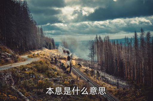 本息兌付什么意思，請(qǐng)問(wèn)兌付是什么意思啊